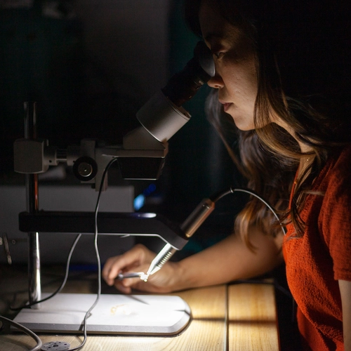 Kara Brugman welds a platinum capsule that will hold the sample (a tiny pocket of magma) for an experiment.