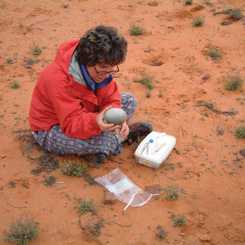 Marilyn Fogel dissects a modern emu egg for her study on the ancient Australian environment.