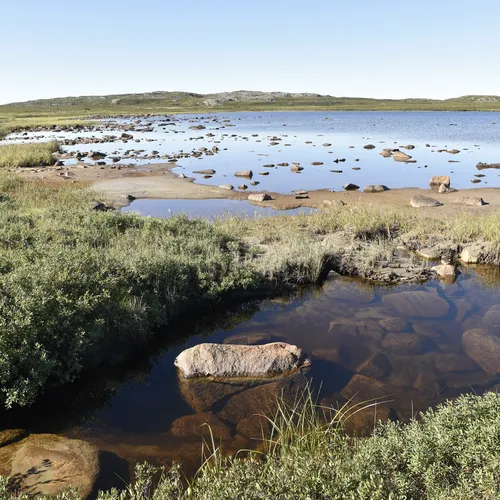 A craton of ancient rock that makes up much of the Northern Canadian shield,