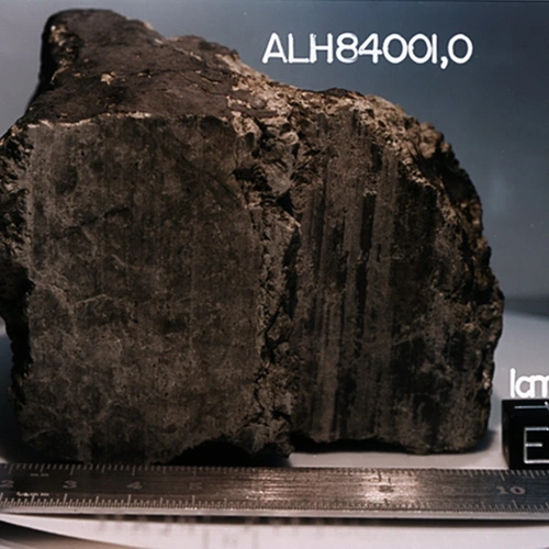 The Allan Hills 84001 meteorite courtesy of NASA/JSC/Stanford University.