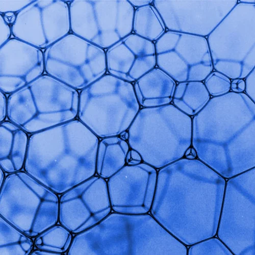 will ludington - bubble illustration