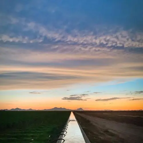 An irrigation strategy being deployed in a field, courtesy of Unsplash.