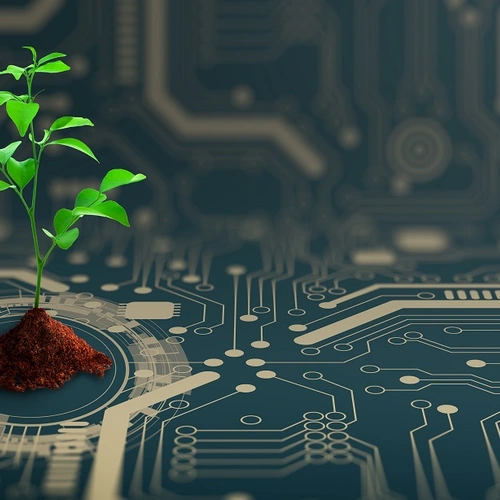 Illustration of a plant growing on a computer chip purchased from Shutterstock.