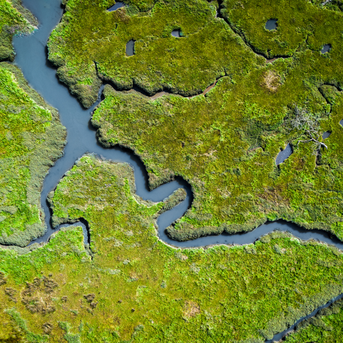Overhead view of wetlands