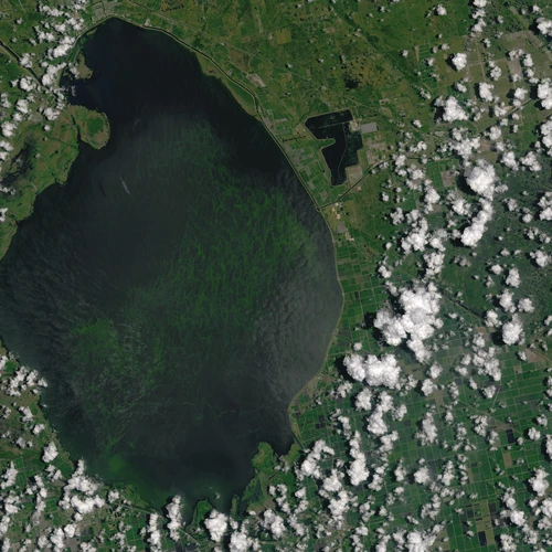 Algal blooms in Lake Okeechobee in 2016. NASA Earth Observatory images by Joshua Stevens.