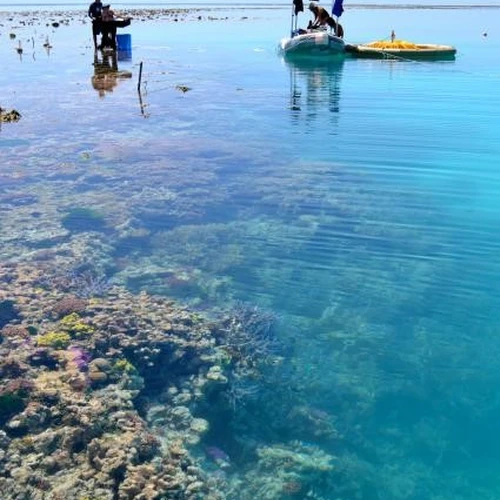 Coral fieldwork at Australia’s Great Barrier Reef