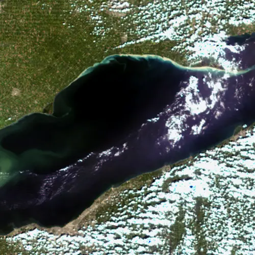 A satellite photo of Lake Erie in 2014 showing that year's algal bloom in the western basin. 2017's bloom is expected to resemble 2014's. Image is courtesy of NASA and NOAA. 