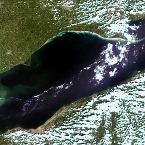 A satellite photo of Lake Erie in 2014 showing that year's algal bloom in the western basin. 2017's bloom is expected to resemble 2014's. Image is courtesy of NASA and NOAA.
