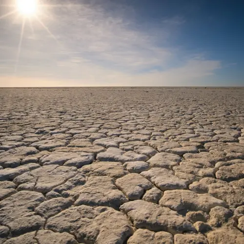 Cracked, dry mud under a bright Sun and blue skies. No green in sight. 