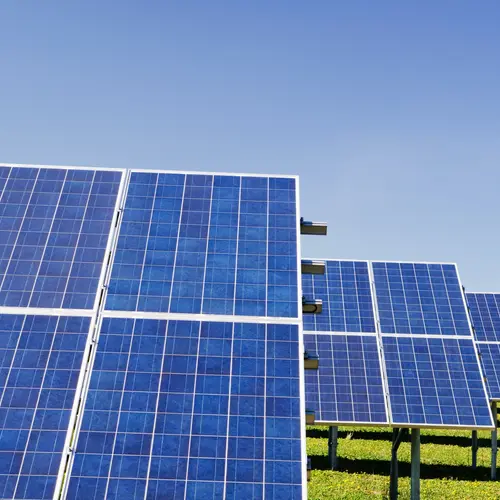 Rows of solar panels in a green field.