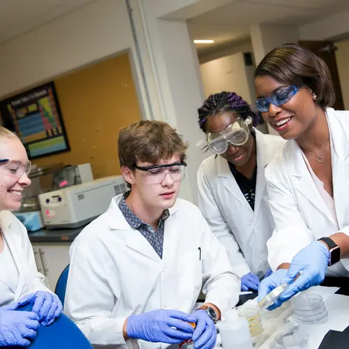 CASE Summer Stars students working in the lab on a group activity. 