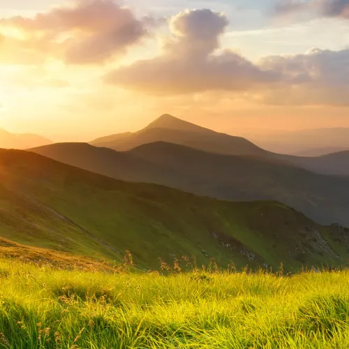 The sun rises over a mountain meadow. 
