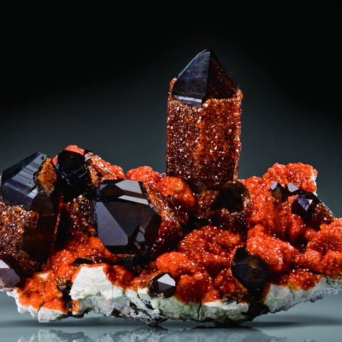 A large cluster of Garnet-SmokeyQuartz crystals from Tongbei-China