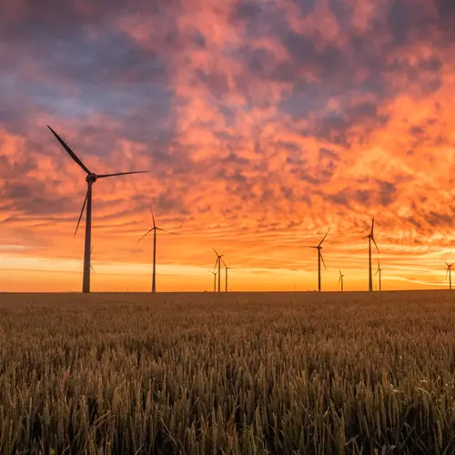 Wind turbines in a field by Karsten Würth from Unsplash