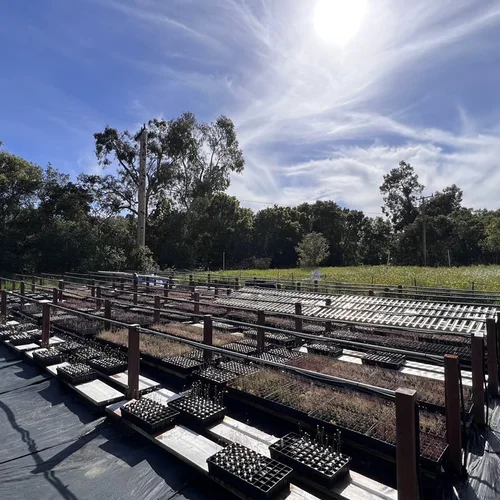 Moises Exposito-Alonso