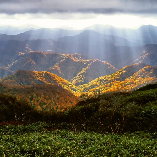 Light shines down on mountains with fall foliage