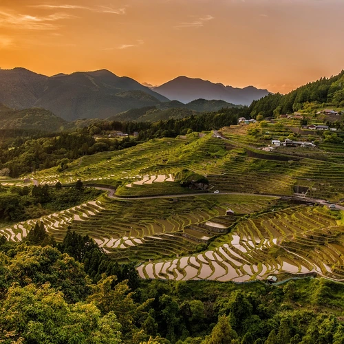 Sun setting over hillside with terraced rice crops