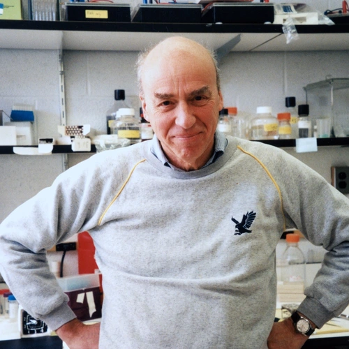 Donald Brown in the lab in 1995, when his group pivoted to studying the genetics underpinning the transformation of tadpoles into frogs. Photo is courtesy of the Carnegie Institution for Science.