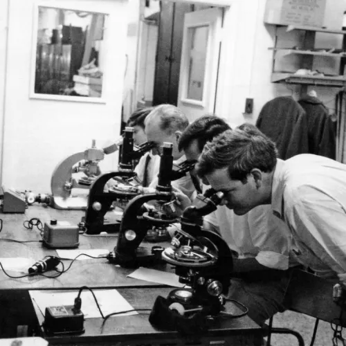 Geophysical Lab Scientists Study Apollo Samples