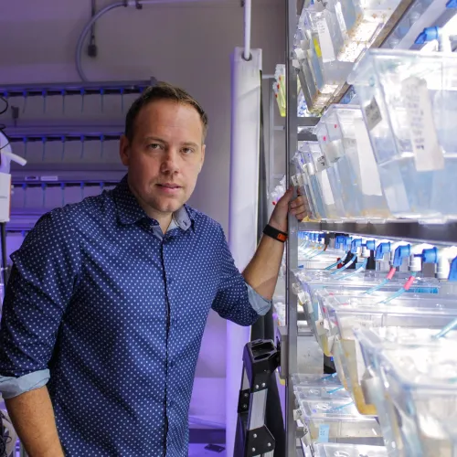 Phillip Cleves at work in Carnegie’s coral research facility in Baltimore. Carnegie researchers have been leading efforts to apply biomedical techniques to pressing environmental issues, including coral bleaching and ocean acidification. Photo by Navid Marvi courtesy of the Carnegie Institution for Science. 