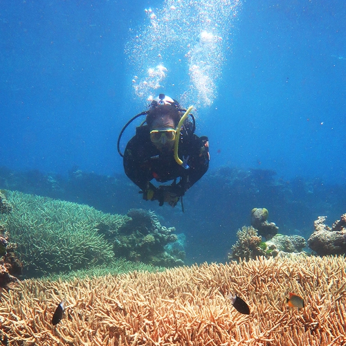 Carnegie’s Phillip Cleves scuba diving on the Great Barrier Reef in Australia. Cleves uses cutting-edge biology techniques to better understand the risks coral face due to climate change.  Photo is courtesy of Amanda Tinoco. 