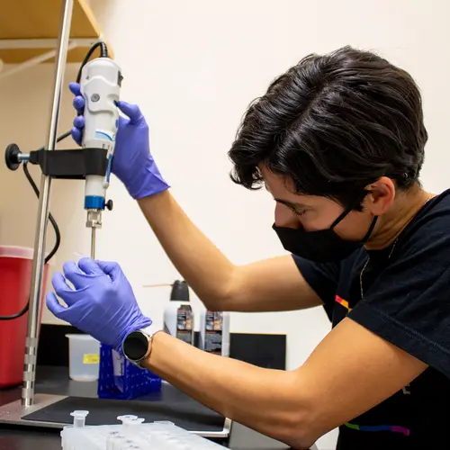 Amanda Tinoco leading stony coral research efforts in the Cleves lab. 