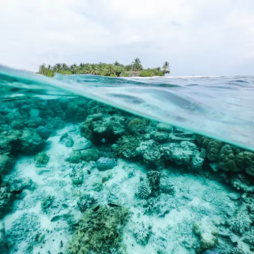 A coral reef seen underwater and an island seen above water. 