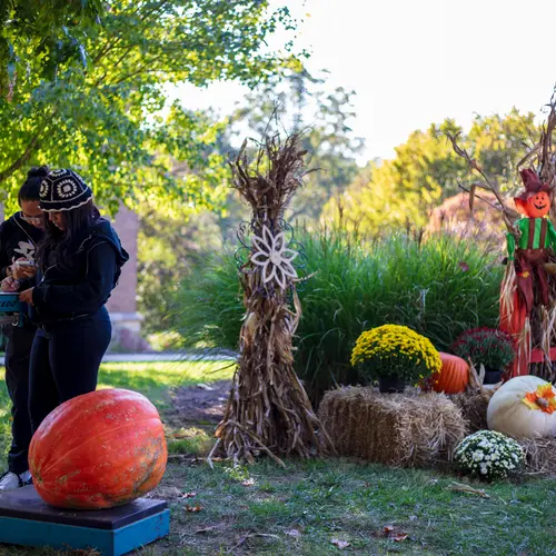 Guessing a pumpkin's weight at BBR