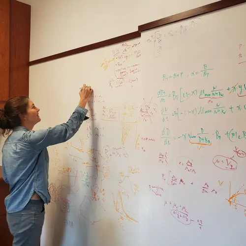 Emily Zakem writes on the whiteboard wall of a Carnegie Science office at Caltech. 