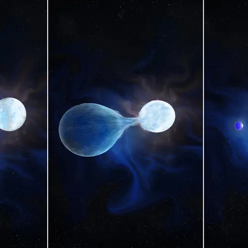 An artist’s conception of the hydrogen being stripped from one half of a binary system, leaving a very hot, helium rich exposed core that will eventually explode as a hydrogen-poor core collapse supernova. Credit: by Navid Marvi, courtesy of the Carnegie Institution for Science. 