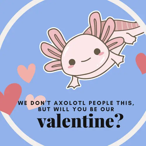 Axolotle with hearts: "We don't axolotl people this, but will you be our valentine?" 