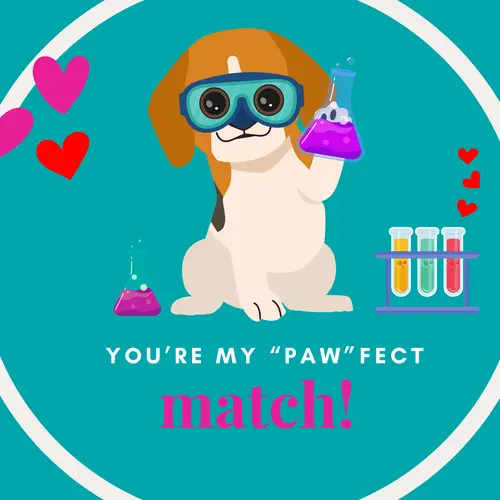 A dog holding a beaker: "You're my paw-fect match"