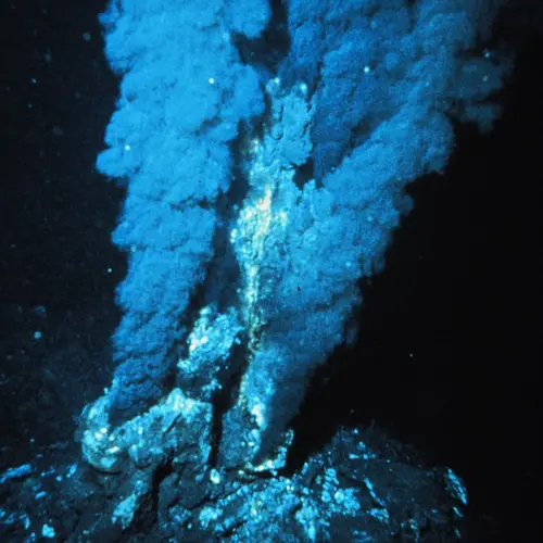hydrothermal vent