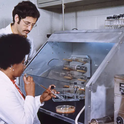 A staff member and a senior technician at work in the lab at the Department of Embryology
