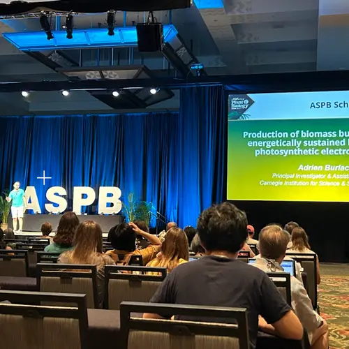 Adrien Burlacot presents at the ASPB annual meeting