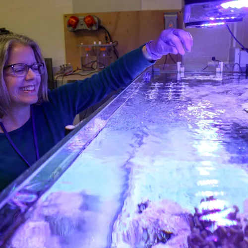 Lynne Hugendubler feeding fish