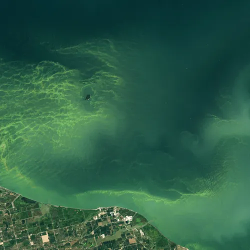 NASA Earth Observatory image by Wanmei Liang, using Landsat data from the U.S. Geological Survey.