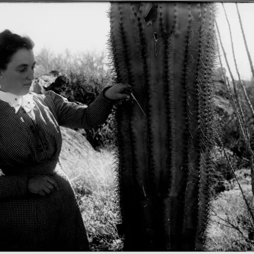 Desert Botanical Lab