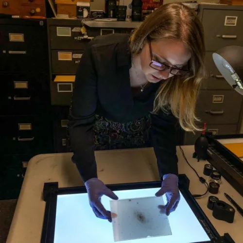 Kit Whitten working with a glass plate negative in the Carnegie Observatories archives.