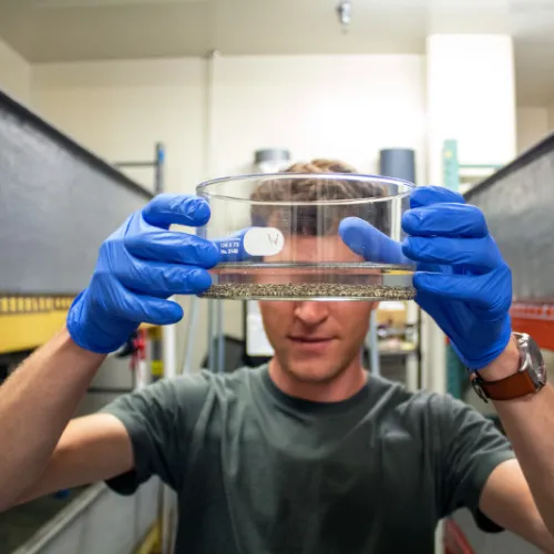 Postdoc Ross Pedersen displays African clawed frog eggs