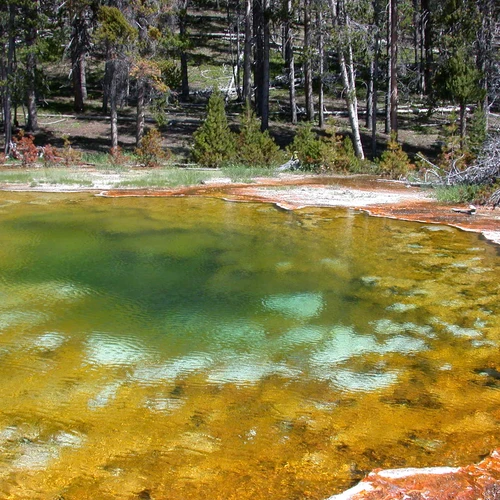 Yellowstone