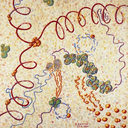 "Macromolecular Metabiology," used for frontispiece of CIW publication 624, "Studies of Macromolecular Biosynthesis"