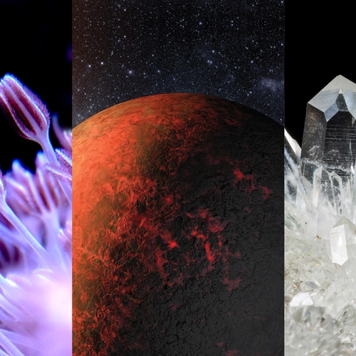 A xenia a lava world and a crystal representing the breadth of Carnegie Science research