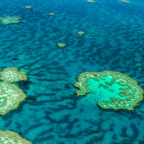coral reef from overhead