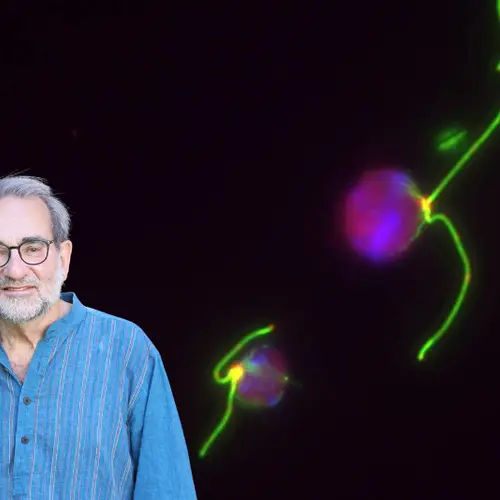 Arthur Grossman on a background of Chlamydomonas