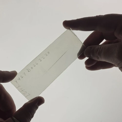 Lasby plate held over the lightbox