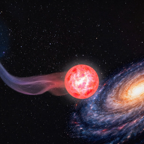 An ancient immigrant: an artist's conception (not to scale) of the red giant SDSS J0915-7334, which was born near the Large Magellanic Cloud and has now journeyed to reside in the Milky Way. Credit: Navid Marvi/Carnegie Science.