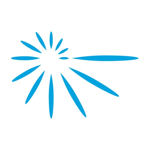 BIOS Logo