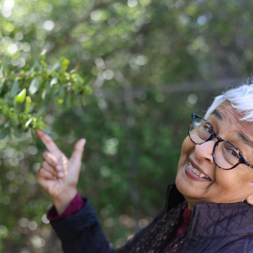 Devaki Bhaya on a Stanford University campus tree walk