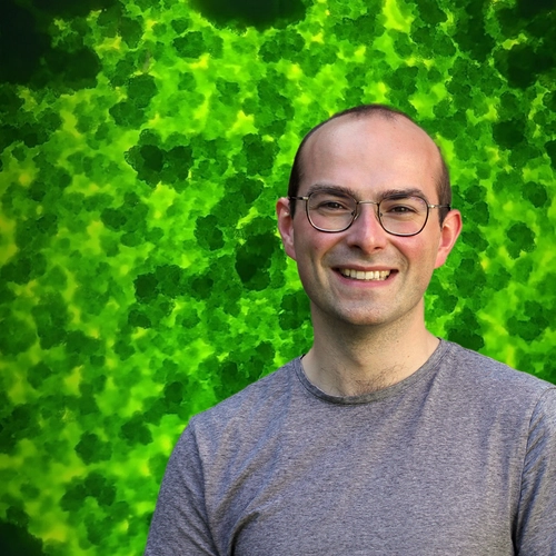 Adrien Burlacot - Algae header image